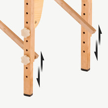 Load image into Gallery viewer, Qi Resonance™ Medbed System w/ Qi Coil™ 3S