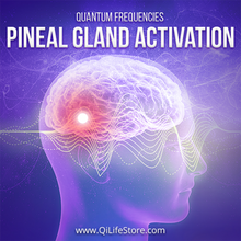 Load image into Gallery viewer, Brain Boost Bundle Quantum Frequencies