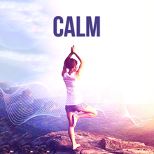 Load image into Gallery viewer, Calm Free Higher Quantum Frequencies