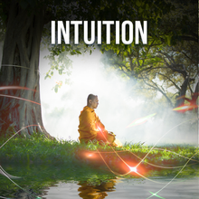 Load image into Gallery viewer, Complete Higher Quantum Frequency Collection Frequencies