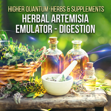 Load image into Gallery viewer, Herbs And Supplements Bundle Higher Quantum Frequencies