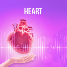 Load image into Gallery viewer, Organs