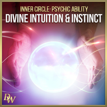 Load image into Gallery viewer, Divine Intuition &amp; Instinct | Psychic Ability Bundle