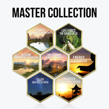 Load image into Gallery viewer, Qi Coil™ Max Rife Scalar System with Resonant Console 2 - Qi Life Store 