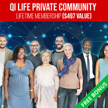 Load image into Gallery viewer, Qi Coil™ Mini Rife Machine System - Qi Life Store 