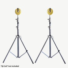 Load image into Gallery viewer, Qi Coil™ Scalar Stands Package (Create Scalar Energy)