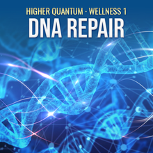 Load image into Gallery viewer, Wellness 1 Collection (Practitioner Kit) Higher Quantum Frequencies