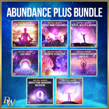 Load image into Gallery viewer, David Wong Inner Circle