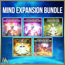 Load image into Gallery viewer, David Wong Inner Circle